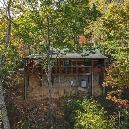 View! Cozy, Private, Fireplace, Hot Tub Log Cabin, Honeymoon! 세비어빌 외부 사진