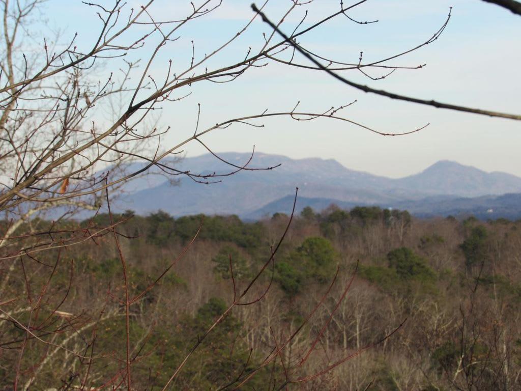 View! Cozy, Private, Fireplace, Hot Tub Log Cabin, Honeymoon! 세비어빌 외부 사진