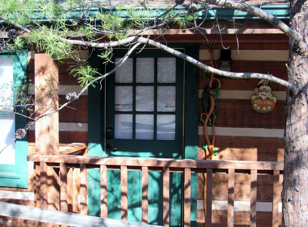View! Cozy, Private, Fireplace, Hot Tub Log Cabin, Honeymoon! 세비어빌 외부 사진